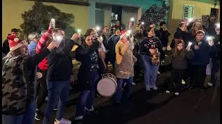 La Noche de los Árboles de Navidad de La Verdellada 2025