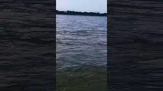 #odisha #flood #flooding #narazbridge #aathgarh #cuttack #bhubaneswar #water