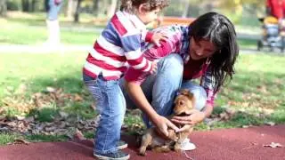 Orlando Child Support Attorney | Central FL Family Law Attorney