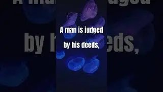 Deeds Over Words 🪼 Motivation & Mindset