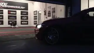 King Performance D&uuml;sseldorf e.K. erh&auml;lt Boden by Performance Floor