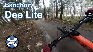 Banchory Woodland Trails - Dee Lite