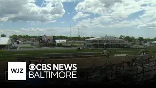 Horses to watch during 150th Preakness Stakes in Baltimore