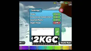 ROBLOX SKİ RACE CODES !