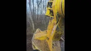 Utilaj Forestier Tăierea Arborilor De Talie Mare 