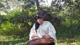What do You Do With a Drunken Sailor on the Zither