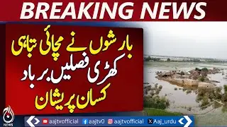 Pano Aqil floods submerge 150 villages, no rescue response &ndash; Pakistan news