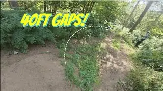 Madness at badbury clump (Karen interaction)