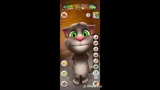 my talking Tom game