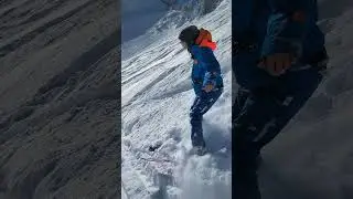 alta harvest