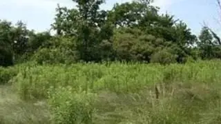 Real estate for sale in Oregon Twp Michigan - MLS# 214037878