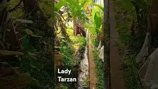 Lady Tarzan Kerala @News18Kerala #love #song  #tamilsong #bollywood #viral #viralshorts #tamil