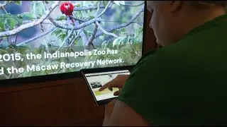 Elumenati Client Interview: Indianapolis Zoo Immersive Installation