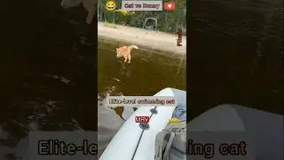 😂 Cats, bunnies, and water chaos &mdash; part 2 is here! 😂😂
