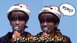 태현 : 뿌잉뿌잉?