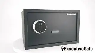 ExecutiveSafe Mini Bio Series Model CS 6B Closed Show