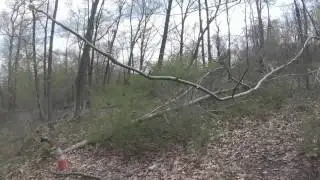 Linglestown Paintball 5/3 Biweekly airsoft game