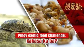 Pinoy Exotic Food Challenge&mdash; Kakasa ka ba? | Kapuso Mo, Jessica Soho