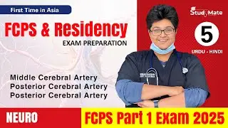 Become a MASTER of Posterior Circulation Lesions with FCPS Part 1