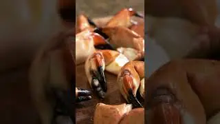 Voted BEST STONE CRABS IN MIAMI! Get them while they are in season. Fresh, never frozen.