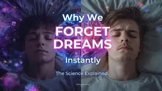 Why We Forget Dreams Seconds After Waking Up
