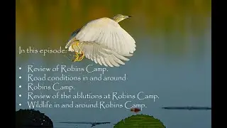Hwange & Kafue Tour, Episode 2: Robins Camp, Hwange National Park