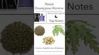 Rasasi | Daarej pour Homme 🍦🔥 #cologne #discount #fragrance #perfume #deals #sale