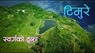 Timure / Must Beautyfull Place in Gulmi Nepal / Chandrakot Gulmi / स्वर्ग को टुक्रा टिमुरे / Panchhi