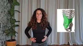 איך לתרגל את שרירי הבטן עם היפרדות בטנית ולמה חשוב לשים לב בתרגול