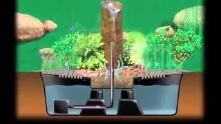 How to Experience the Water Feature Lifestyle!