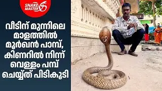 EP 22 | മൂർഖൻ പാമ്പിനെ കഷ്ട്ടപ്പെട്ട് പിടികൂടി | Cobra Rescue | Vava Suresh   Snakemaster
