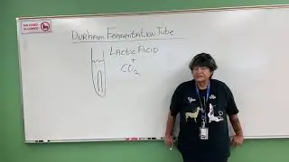 Durham Fermentation Tube