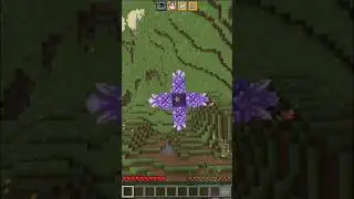 #assembly
