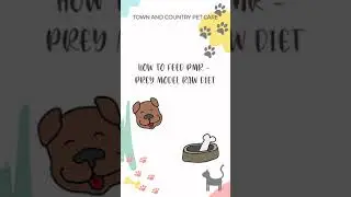 How To Make Raw Diet Following Prey Model Protocol
