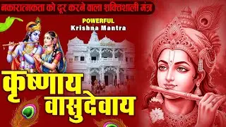 ॐ कृष्णाय वासुदेवाय हरये परमात्मने - Om Krishnaya Vasudevaya Haraye Paramatmane 108 Times #krishna