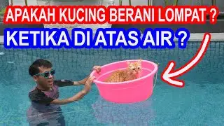 EKSPERIMEN MENYELAMATKAN KUCING KETIKA BANJIR