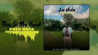 Kwesi Mafia - Pain In My Heart | Official Audio