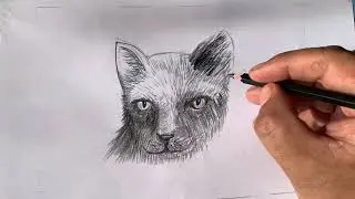 @pencil drawing art 
