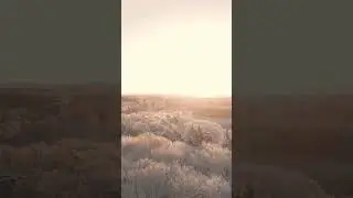 Feel It Before It Forms | A Message from Spirit on Trusting What You Sense