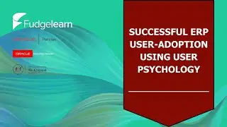 Successful ERP User-Adoption Using User Psychology