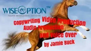 Product Overview 