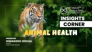 Animal Health 2025 | Market Trends & Innovations Explained &ndash; Octavus Insights Corner