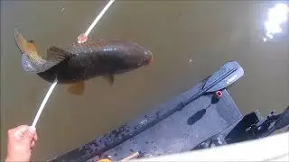 FEATHER-RAFT &reg; | Bowfishing San Joaquin River | #featherraft