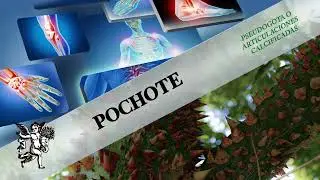PSEUDOGOTA: LA ENFERMEDAD IMPOSTORA QUE MUCHOS CONFUNDEN CON GOTA