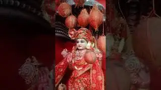 251 coconuts decoration at Mata Sri Vaibhav Lakshmi Temple #aarti #navratri #decoration