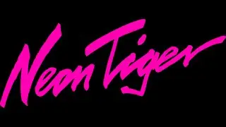 Концерт NeonTiger на Чердаке! 13дек!
