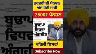 ਫਰਵਰੀ ਮਹੀਨੇ ਦੀ ਪੈਨਸ਼ਨ, 2500 Pension, #2500pension #pensionscheme #pension #reels #news