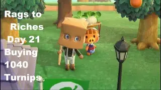 Rags to Riches, Day 21, Buying 1040 Turnips.