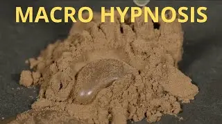 Macro Water Drops Hitting Cocoa Powder