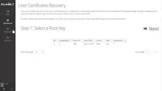 Vault Certificate and Data Recovery